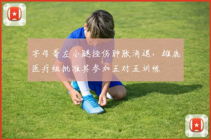 字母哥左小腿挫伤肿胀消退,雄鹿医疗组批准其参加五对五训练